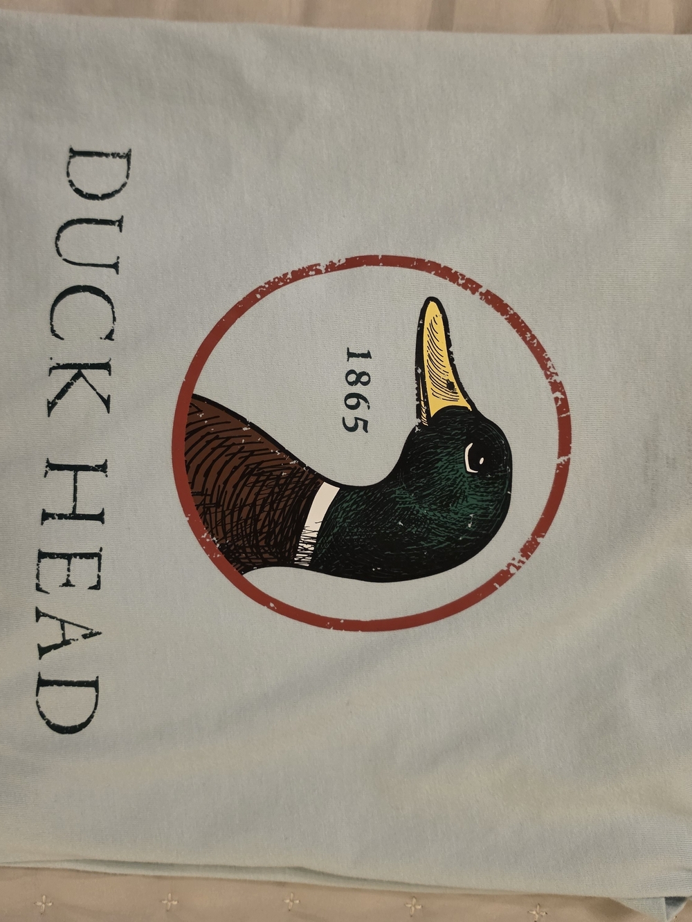 Duck Head Graphic Tee in Light Blue with Mallard Print